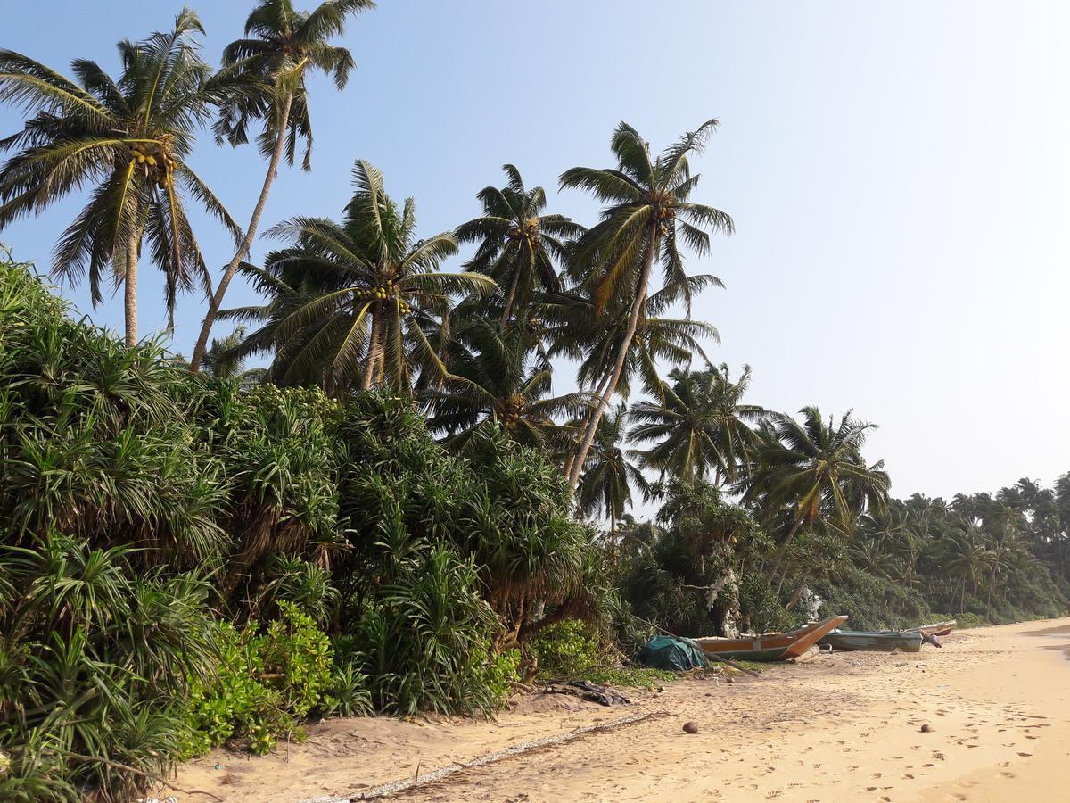 Leatherback Beach Villa Ahungalla Exterior photo